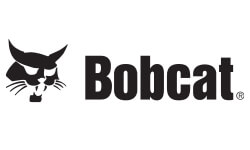 bobcat image