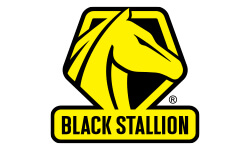 black-stallion image