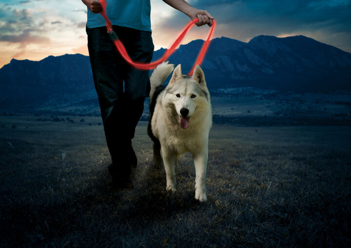Nite Ize NiteDog Rechargeable LED Leash, Red/Red LED, large image number 8