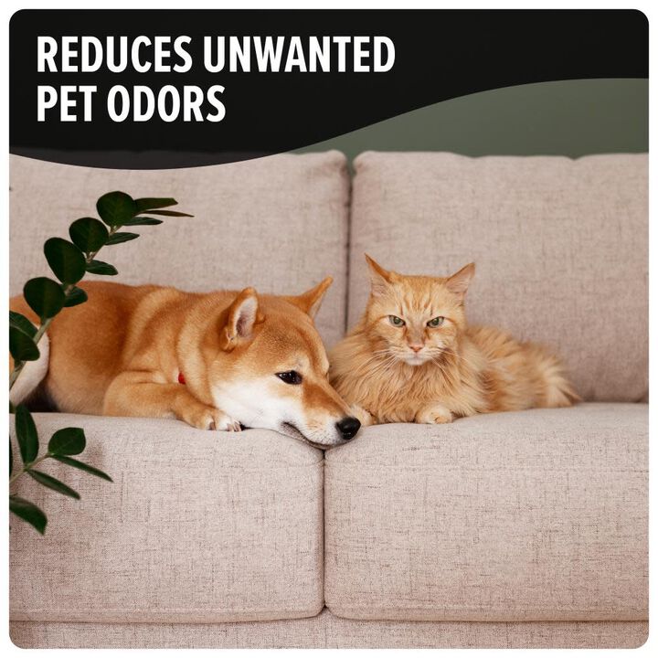 Dirt Devil Vacuum Safe Pet Odor Neutralizer Pet Carpet Powder Pack of 2, large image number 1