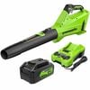 Greenworks 24V 450 CFM Leaf Blower with 4Ah Battery & Charger Kit, small image number 1