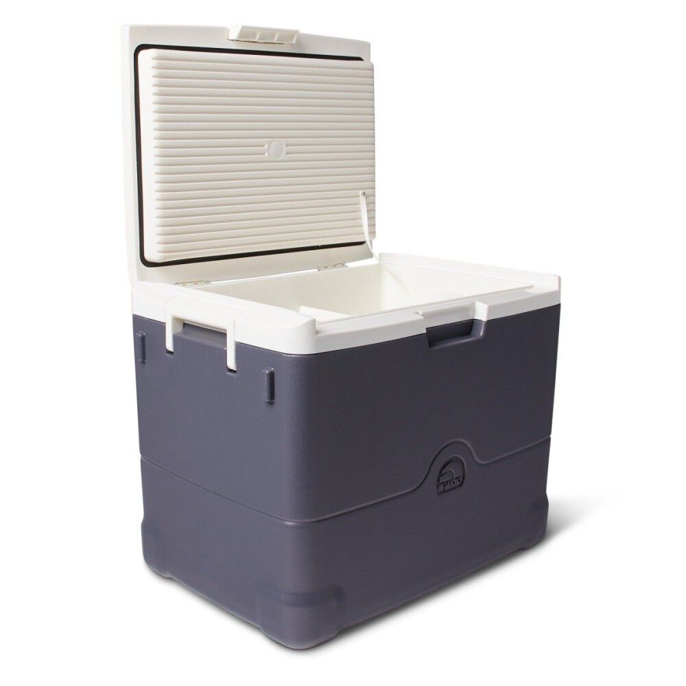 Igloo 40 best sale qt thermoelectric cooler
