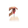 Megapro Automotive Ratcheting 13-In-1 Multi-Bit Screwdriver, small image number 4