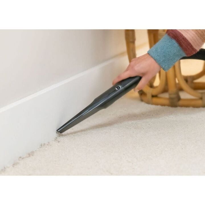 Bissell Turboclean PET XL 6A Corded Bagless Upright Carpet Cleaner, large image number 1