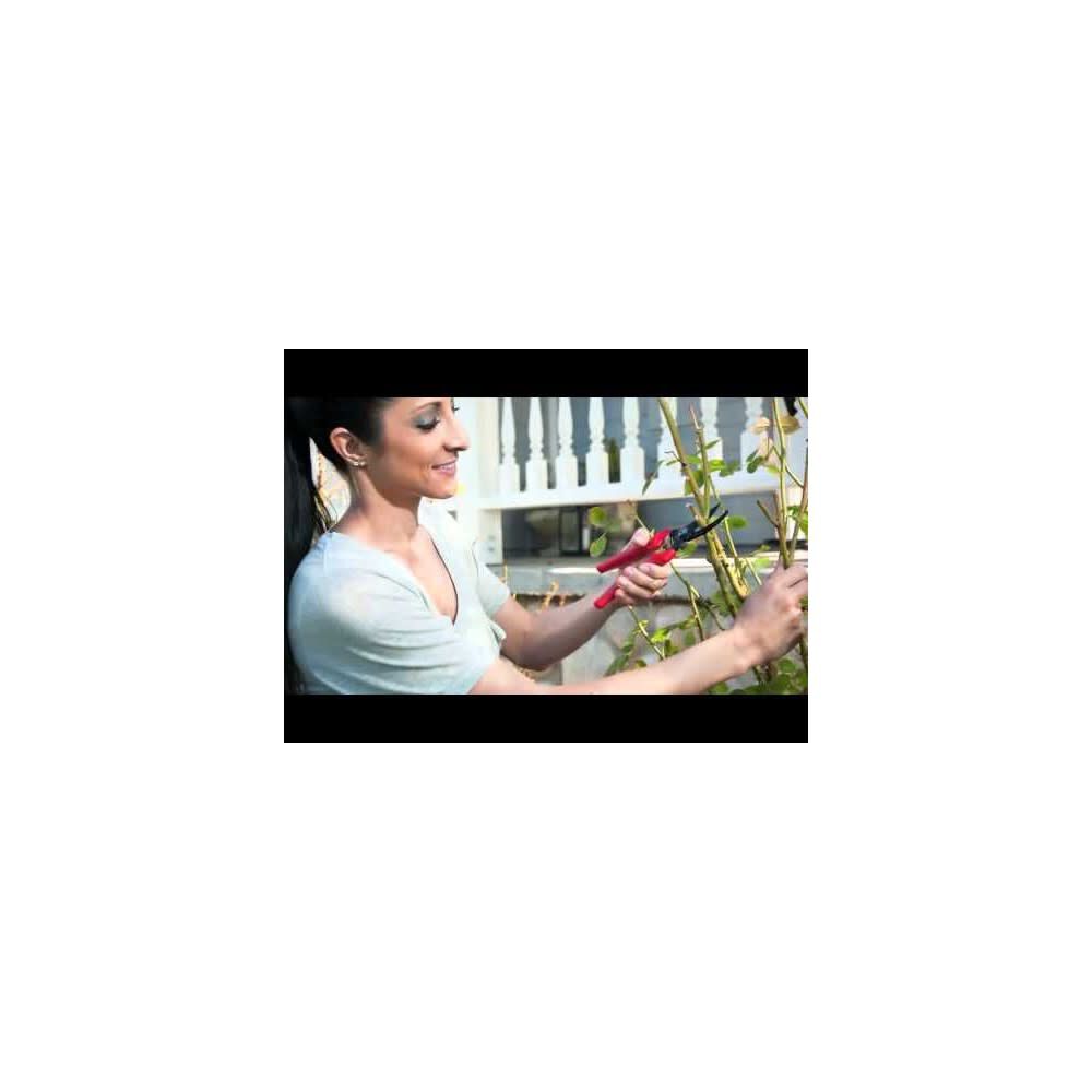 Corona Bypass Pruner 3/4in ComfortGEL Left/Right Stainless Steel BP