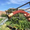 Flexon Flextreme Performance 3/4 Inch x 50 Ft Red Hot Water Hose, small image number 4