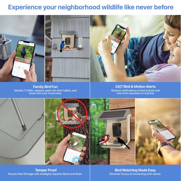 Feit Electric 2.5 L Plastic 5W Genius AI Solar Powered Smart Bird Feeder, large image number 4