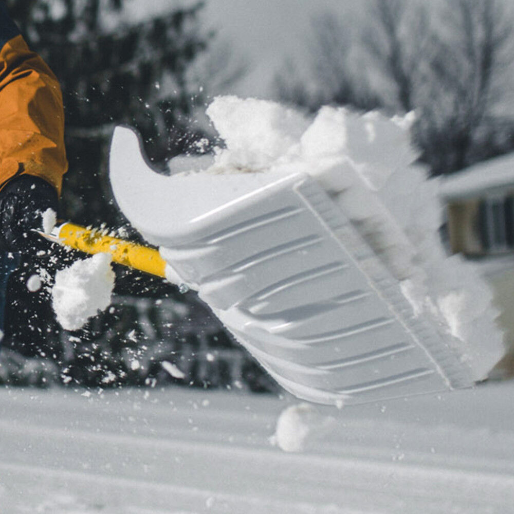 Snow top dominator shovel