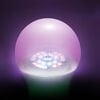 Feit Electric 60W A19 Plant Grow Light LED Bulb- 1pk, small image number 3