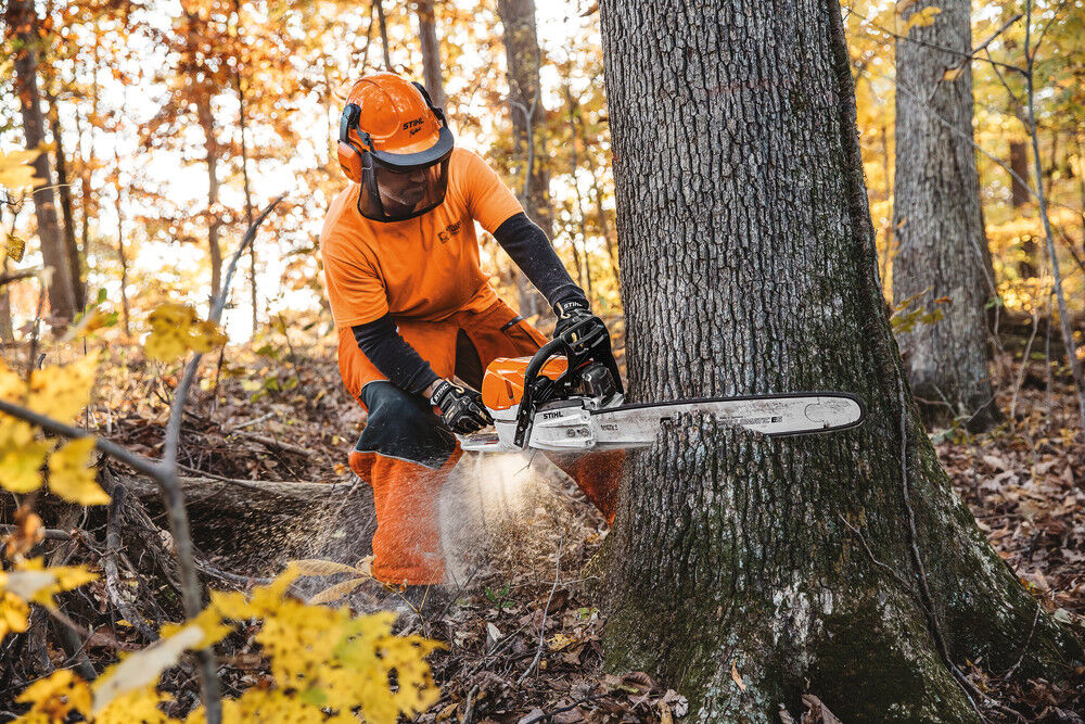 Stihl 25 Inch Bar Gas Powered Rear Handle Chainsaw, large image number 19