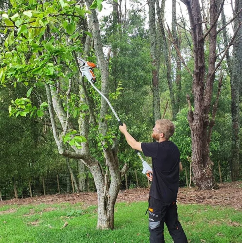 Stihl pruning saw gta 26 2025