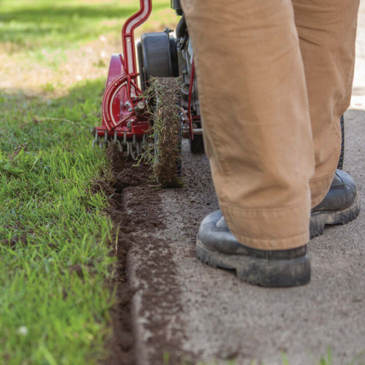 Earthquake 9 in Lawn and Landscape Edger Tri-Tip Blade 79 cc Viper Engine Gas, large image number 4