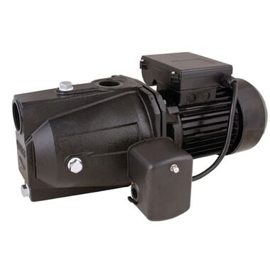 Star Water Systems 3/4 HP Cast Iron Shallow Well Jet Pump for Single Pipe Wells