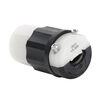 Leviton 30A 125V 2 Pole 3 Wire Black & White Locking Connector, small image number 2