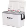 Igloo Latitude Marine Ultra 25 Qt Cooler, small image number 5