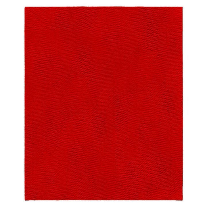 Diablo Tools SandNET Sanding Sheets 9in x 11in 80 Grit Universal Reusable