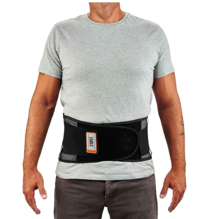 Ergodyne Proflex 1051 Light Mesh Back Support, large image number 1