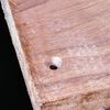 Makita #12 Countersink 7/32in Replacement Drill Bit, small image number 3
