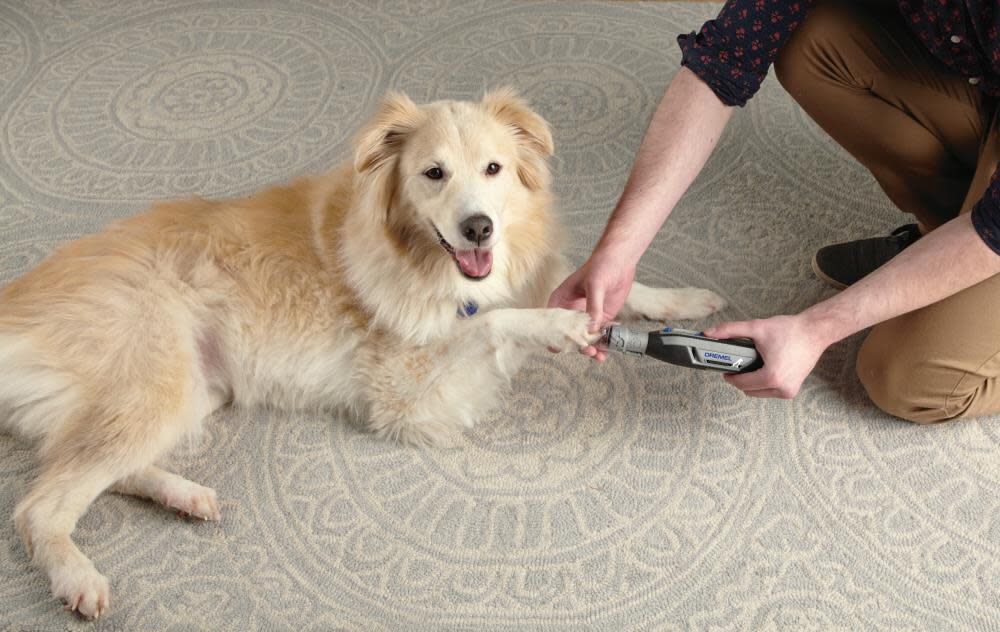 Dog dremel sale