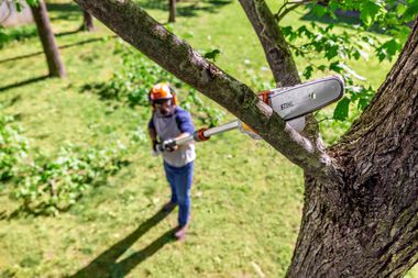 STIHL Battery-Operated Cordless Pruning Saw with Battery and