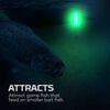 Nebo Submerser 500 Lumens Rechargeable Underwater Fishing & Dock Light, small image number 3