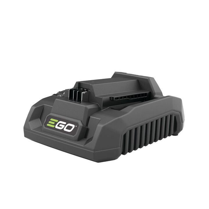 EGO Trimmer, Edger, and Power Head Multi-Head Combo Kit, large image number 5