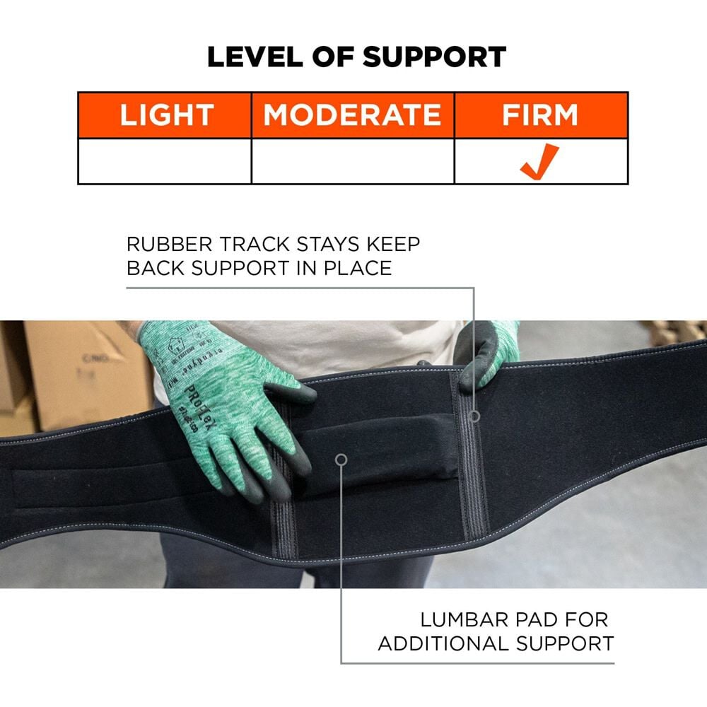 Ergodyne Proflex 1500 Weightlifting Back Support, 2XL, large image number 3