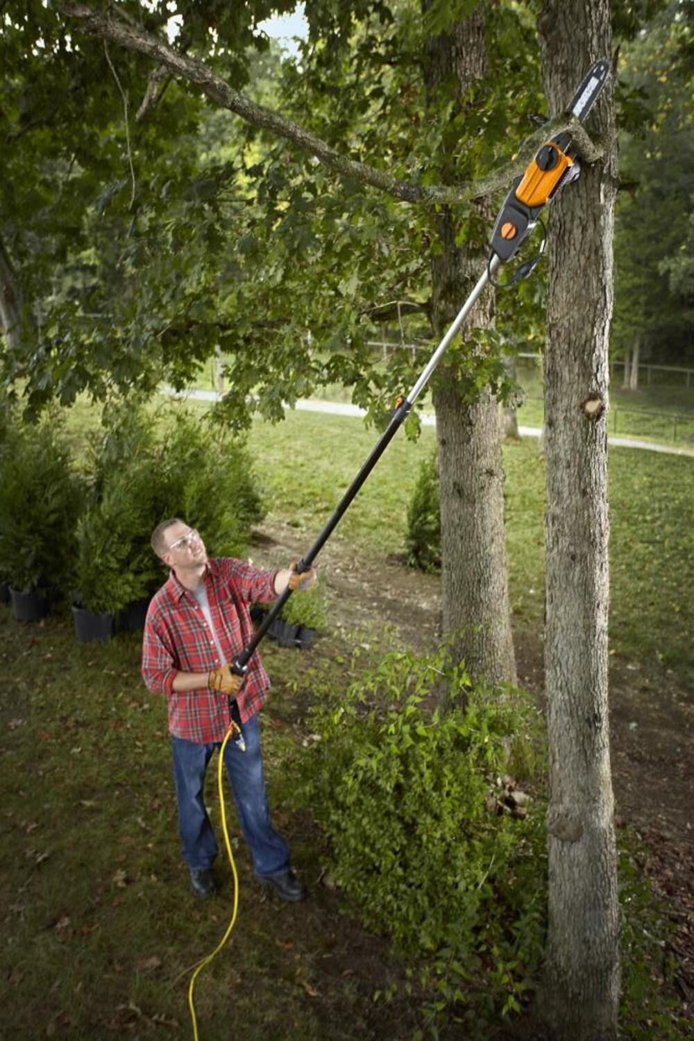 Long pole cheap electric tree trimmer