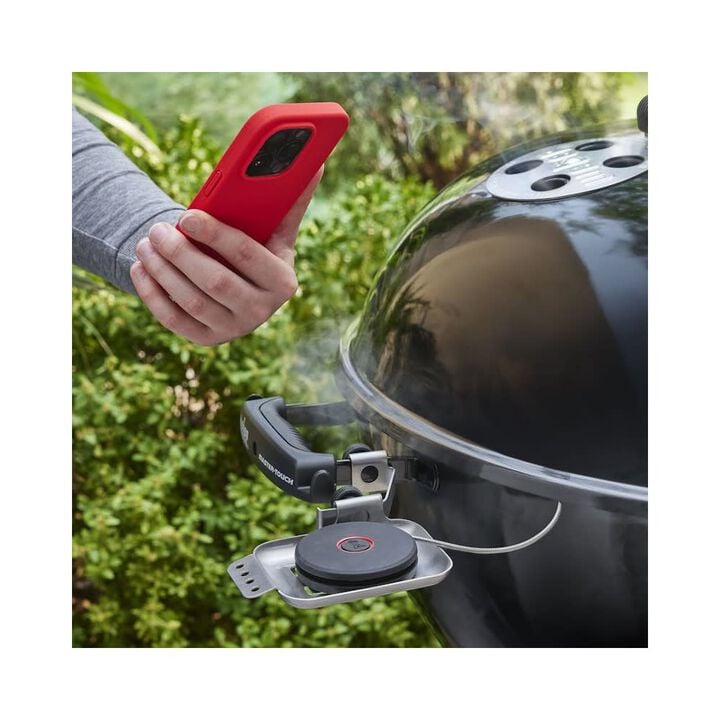 Weber Smart Probe and Grate Sensor, large image number 5