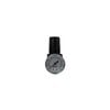 Coilhose 0-125 Psi 1/4in Port Miniature Regulator, small image number 1