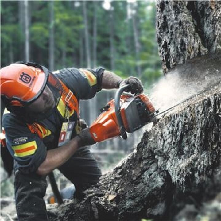 Husqvarna 550 XP Mark II 50cc 16in Gas Chainsaw, large image number 3