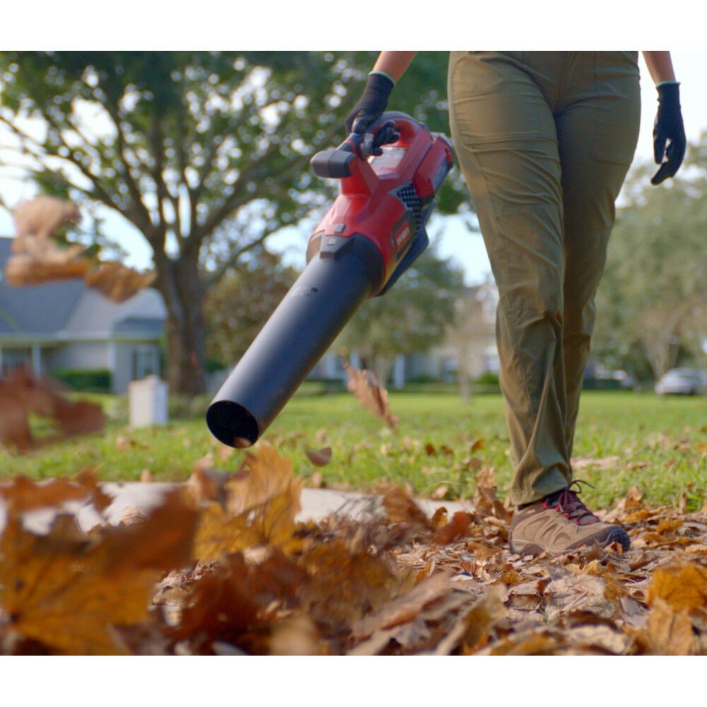 Toro leaf blower hotsell repair near me