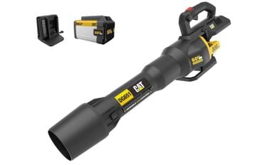 CAT DG651 60V 800 CFM 170 MPH Brushless Leaf Blower Kit