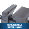 Wilton Reversible Bench Vise, small