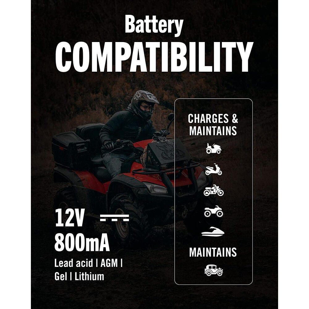 Battery Tender Lead Acid/Lithium Selectable Battery Charger 12V 800mA