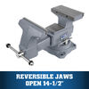 Wilton Reversible Bench Vise, small