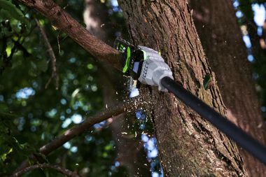 EGO POWER+ 10 Telescopic Pole Saw Kit with 2.5Ah Battery & Standard Charger