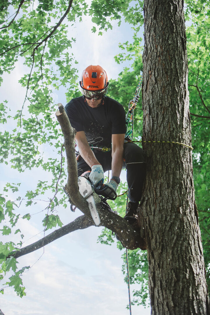 Stihl MS 151 T C-E 71PM3 3405 12 Inch Bar Gas Powered Top Handle Chainsaw, large image number 5