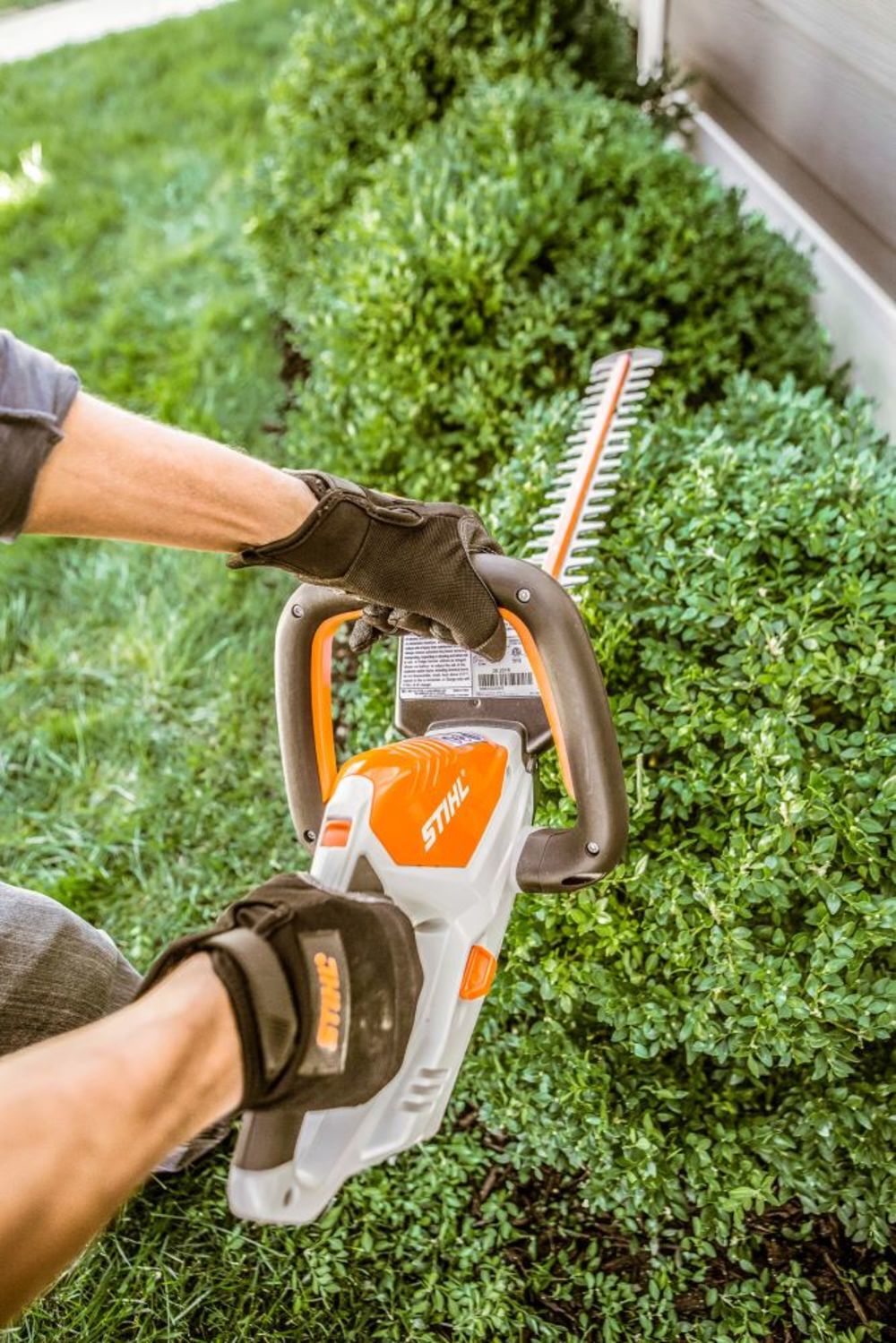 Stihl hsa 45 cordless store battery powered hedge trimmer