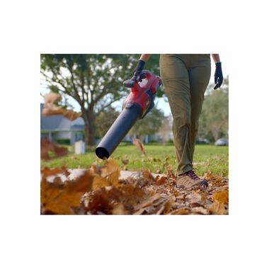 Toro 60V Max Flex Force Axial Leaf Blower One Battery Kit, large image number 1