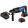 Bosch 18V EC SDS Plus Bulldog 1in Rotary Hammer Kit