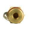 Powermate 150 PSI Pressure Relief Valve, small image number 3