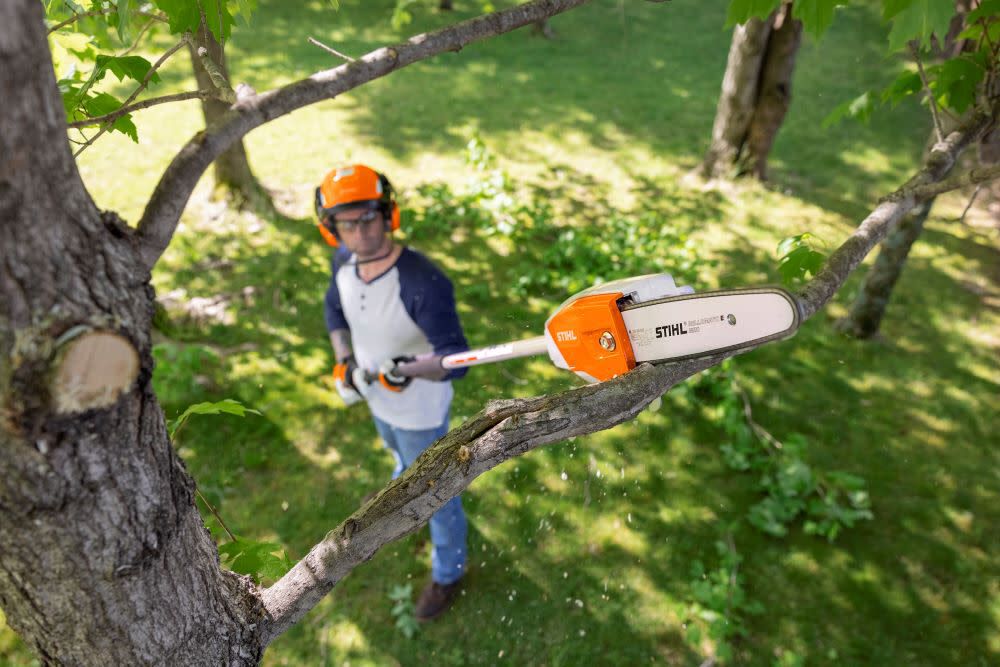 Stihl pole saw battery operated sale