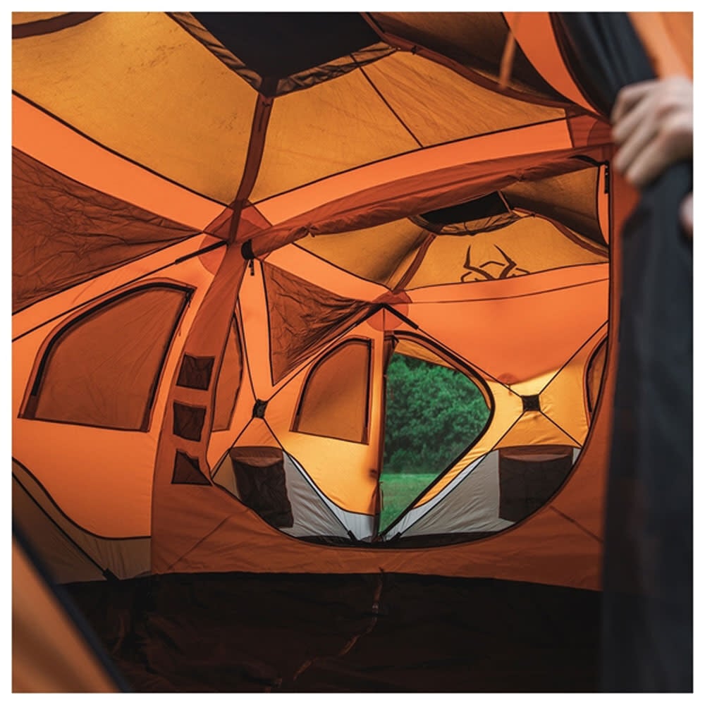 Gazelle orange 8 cheap