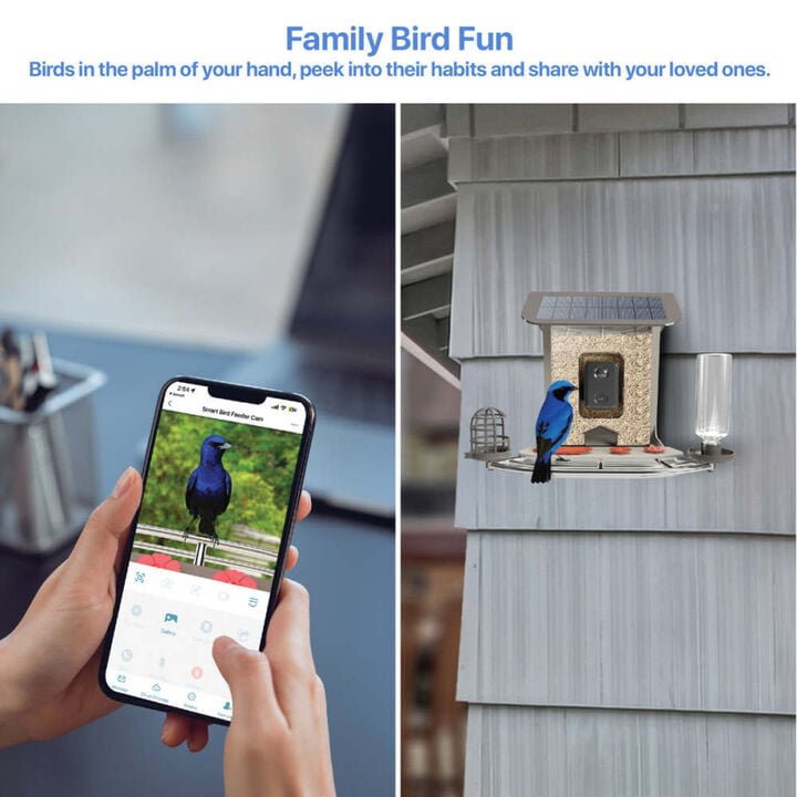 Feit Electric 2.5 L Plastic 5W Genius AI Solar Powered Smart Bird Feeder, large image number 8
