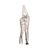 Stanley 6 Inch Long Nose Locking Pliers, small image number 1