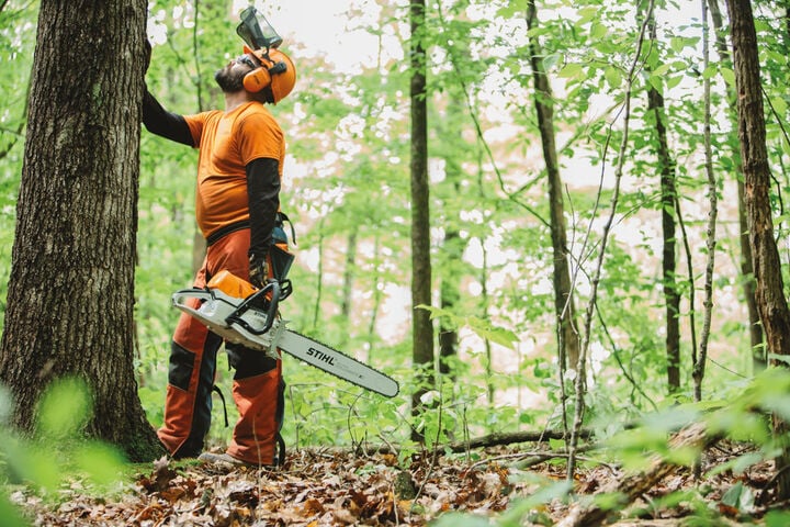 Stihl 20 Inch Bar Rear Handle Chainsaw Gas Powered without Depth Limiter, large image number 20
