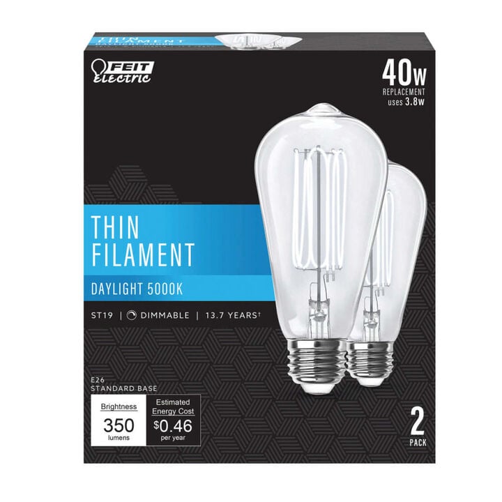 Feit Electric 120V 3.8W Vintage Edison LED Light Bulb Daylight 2 Pieces