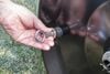 Agri-Fab Steel Lawn Roller, small image number 5