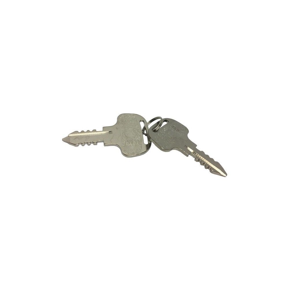 Kubota Parts Metal Ignition/Starter Key Set, 2 Pieces, large image number 2